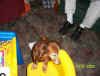 cookie_on_chair.jpg (49735 bytes)